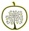 apple tree in apple