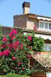 Terraced houses in  Valencia Spain