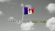 Drapeau de la France libre