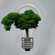 lightree