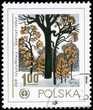 POLAND - CIRCA 1978 Oak