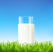 Milk Glass Milk Glass