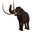 Photo en ligne au meilleur prix Woolly Mammoth 01