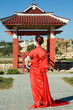 Geisha Standing Back Geisha Standing Back