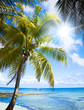 Beautiful Beach Exotic Wallpaper Beautiful Beach Exotic Wallpaper