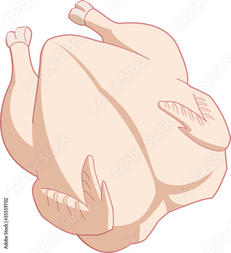 Illustration: Poultry Poultry