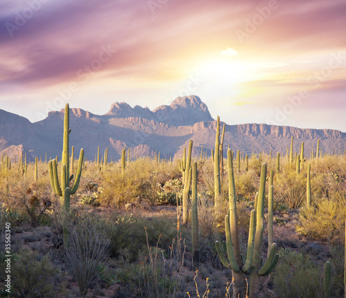 Photo: Saguaro Park Saguaro Park