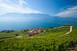 Lavaux vineyards on Lake Geneva