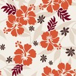 Hibiscus Pattern Hibiscus Pattern