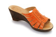 female shoe on white