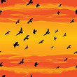 Seamless flying birds vector Seamless flying birds vector