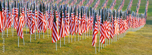 Photo: Flags in the Healing Fields for 9/11 Flags in the Healing Fields for 9/11