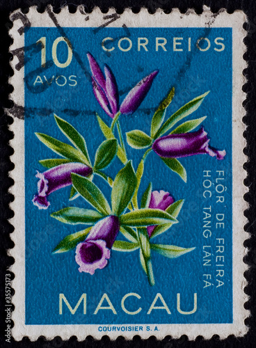 Photo: POST STAMP FROM MACAO 2 POST STAMP FROM MACAO 2
