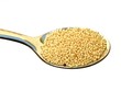 Foto: Amaranth Amaranth