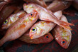 Close up of fish on display in a fish market (Muscat, Oman)