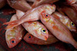 Close up of fish on display in a fish market (Muscat, Oman)