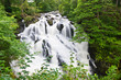 Betws-y-Coed Waterfalls in Snowdonia, North Wales
