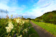 Summer rural path along canal Summer rural path along canal