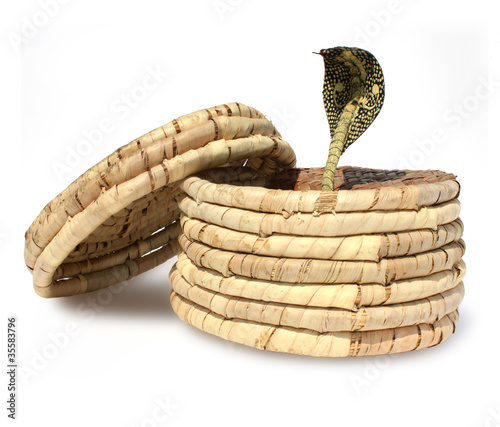 Photo: Inde - Cobra (factice) Inde - Cobra (factice)
