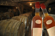 Bas-Armagnac Südfrankreich
