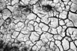 dry desert