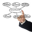 Presentation of insurance structure