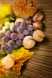 Set of autumn fruit