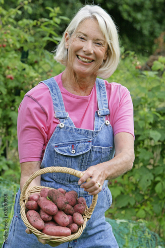 Photo: Potager - Récolte de pommes de terre Potager - Récolte de pommes de terre
