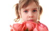 Little girl sniffs and touches beautiful pink rose in hand