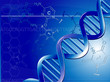 ADN