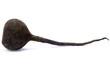 black radish
