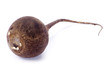 black radish