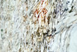 recyclage de papier #7