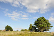 campagne bretonne campagne bretonne
