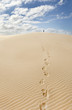 trecking
