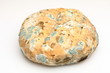 Mould growing on old bread Mould growing on old bread