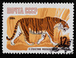 Postal stamp. Tiger, 1964 Postal stamp. Tiger, 1964