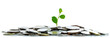 Financial growing