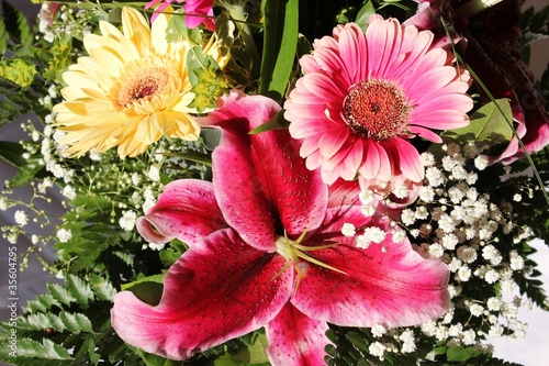 Photo: Blumen Blumen