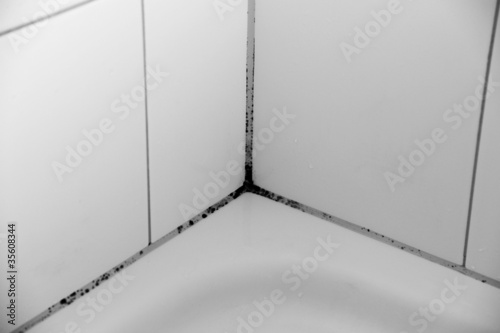 Photo: Silikonfugen mit Schimmelbefall Silikonfugen mit Schimmelbefall
