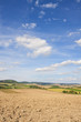 Felder in Niederösterreich Felder in Niederösterreich