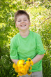 A boy with a bouquet of dandelions in the park A boy with a bouquet of dandelions in the park