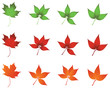 three lots of coloured leaves
