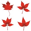 set of four red leaves
