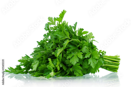 Photo: Fresh parsley Fresh parsley
