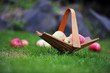 basket with apples