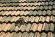 Goan tiled roof texture Goan tiled roof texture