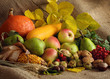 Herbst stillleben