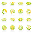 Wheat and rye. Vector logo template set.