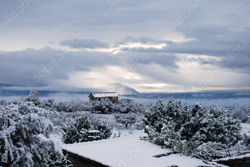 Photo: Winter white Winter white